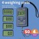 Elektroniskie svari Fishman 40kg/10gr