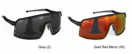 Saulesbrilles TAGRIDER N 34-2 (polarizētas, filtru krāsa: Gray)